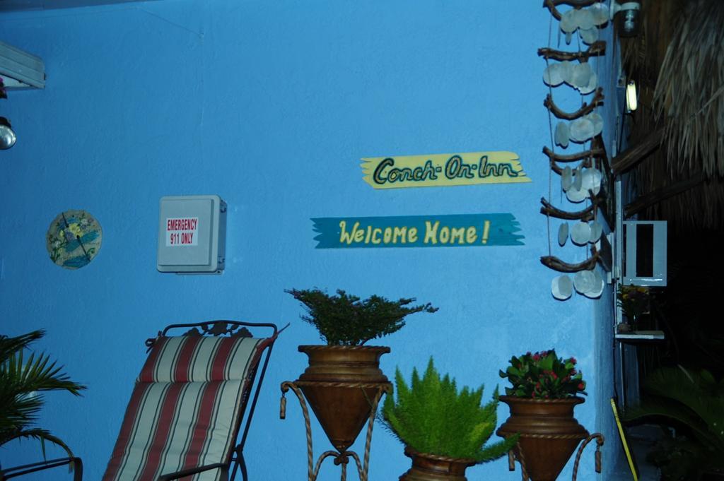 Conch On Inn Motel Tavernier Esterno foto